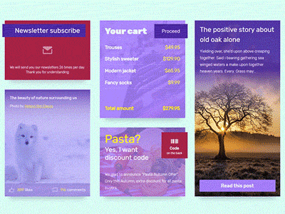 portfolio